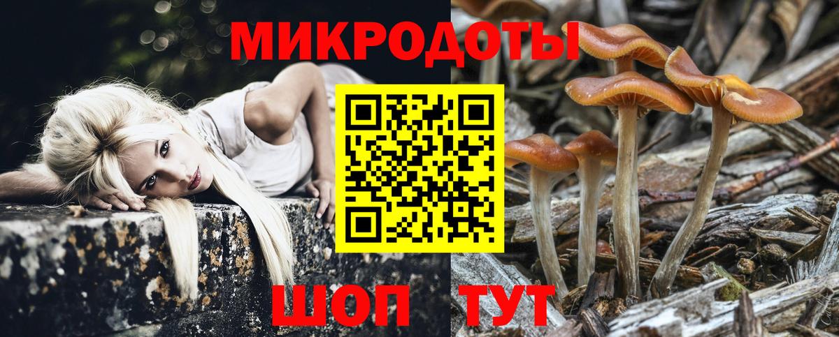Галлюциногенные грибы ЛСД Курчатов
